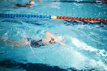 Image showing Race, sports and people swimming in a pool for cardio, competition and training. Fitness, exercise and athletes in the water for recreation, a hobby or practicing laps for sport and a workout