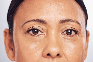 Image showing Closeup, portrait and eyes of a mature woman isolated on a studio background for skincare beauty. Wrinkles, treatment and the face of a model for anti aging, facial wellness and care for skin