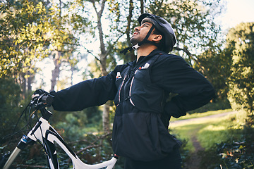Image showing Forest, fitness and cyclist with back pain, bicycle and exercise adventure trail in nature. Cycling, woods and man with injury, mountain bike and muscle ache for workout, motivation or healthcare.
