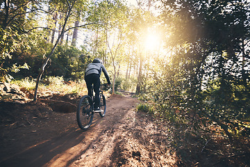 Image showing Cycling, nature and fitness with man on path for training, workout or cardio exercise. Adventure, extreme sports and speed with male cyclist on bike in forest park for performance, challenge or break