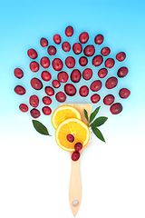 Image showing Cranberry and Orange Fruit Surreal Paintbrush Design