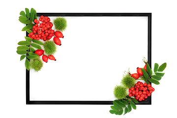 Image showing Festive Autumn Berry Fruit and Nut Background Frame