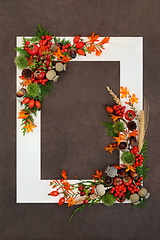 Image showing Abundant Autumn Fall Thanksgiving Harvest Festival Background