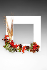 Image showing Autumn Nature Harvest Background Frame