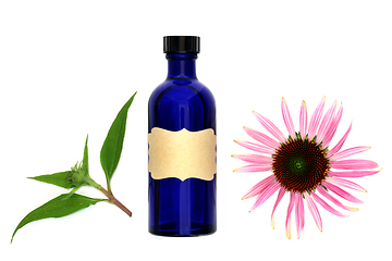 Image showing Natural Echinacea Herbal Medicine for Coughs and Colds