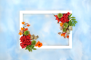 Image showing Thanksgiving and Autumn Nature Background Border Frame