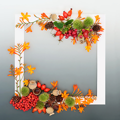 Image showing Abundant Thanksgiving and Autumn Nature Background Border