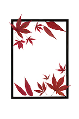 Image showing Red Maple Leaves of Autumn Background Border 