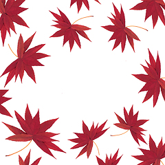 Image showing Autumn Fall Red Falling Leaves Background Design