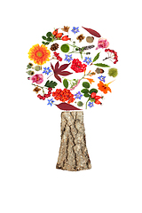 Image showing Surreal Autumn Fall Thanksgiving Tree Shape Composition