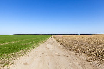 Image showing road in the middle of the field