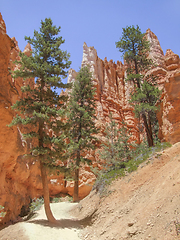 Image showing Bryce Canyon National Park