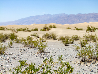 Image showing Death Valley National Park