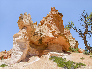 Image showing Bryce Canyon National Park