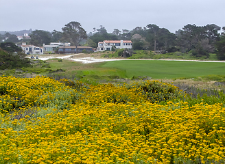 Image showing idyllic coastal scenery in California