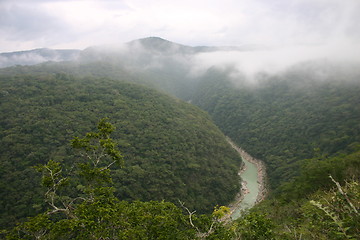 Image showing River in a jungle canyon