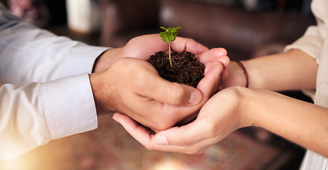 Image showing Plant in people or partner hands for business growth, eco friendly development and sustainability in green startup. Woman and man palm, teamwork and sapling soil and sustainable investment or support