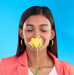 Image showing Happy woman smelling a flower in a studio for a floral gift for valentines day or anniversary. Happiness, excited and Indian female model with yellow rose as present isolated by blue background.