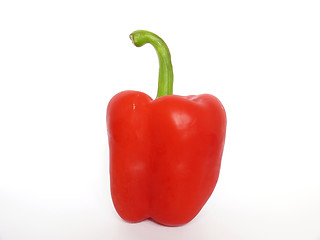 Image showing Red pepper