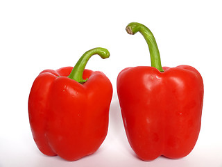 Image showing Two red peppers