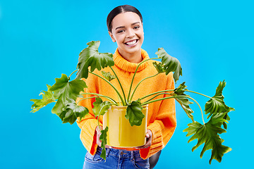 Image showing Portrait of woman in studio with house plant, smile or happiness for plants on blue background. Gardening, sustainable or green hobby for happy gen z girl on mockup space or eco friendly garden shop.