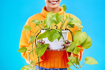 Image showing Cropped woman in studio with plant, smile and happiness for house plants on blue background. Gardening, sustainable and green hobby for happy gen z girl on mockup space for eco friendly garden shop.