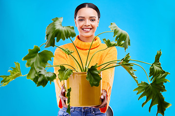 Image showing Portrait of happy woman in studio with plant gift, smile and happiness for house plants on blue background. Gardening, sustainable green and hobby for gen z girl on mockup with eco friendly present