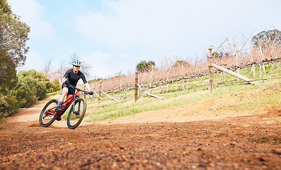 Image showing Riding, nature and a man on a bike for cycling, fitness or practice for a race in the countryside. Adventure, sports and a cyclist on a bicycle for training, sports and outdoor cardio exercise