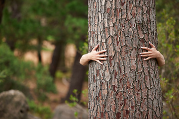 Image showing Nature, environment and person with a tree hug for sustainability, planet love and ecology. Forest, earth day and hands hugging trees to show care for woods, deforestation and climate change