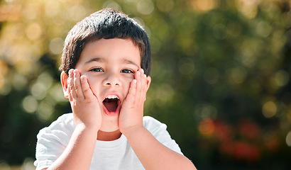 Image showing Portrait, surprise and boy in a park with happiness and wow face on summer holiday. Shocked, comic and emoji facial expression of a young buy with bokeh and mockup in nature with youth and joy