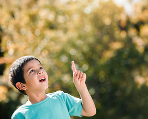 Image showing Boy child, pointing and outdoor with space for mockup in nature, garden or backyard with wow, thinking or freedom. Kid, point and hand gesture to sky by trees in park, woods or playground for mock up