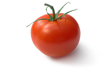 Image showing Tomato