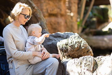 Image showing Caucasian blonde mother holding her infant baby boy child in her lap watching crocodile in zoo. Happy family having fun with animals safari park on warm summer day