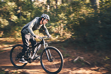 Image showing Cycling, nature and health with man in road for training, workout or cardio exercise. Adventure, extreme sports and speed with male cyclist on bike in forest park for performance, challenge or break