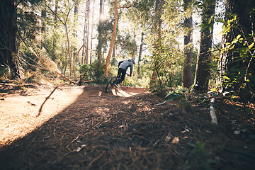 Image showing Fitness, bicycle freedom and man outdoor on a forest path with extreme and exercise adventure. Bike, cycling and sport of an athlete with fast speed on ground for sports training and race action