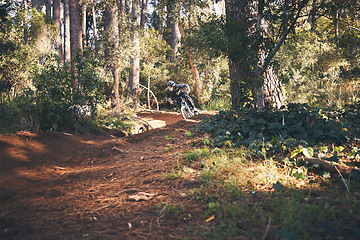 Image showing Fitness, bicycle freedom and man outdoor on a forest path with extreme and exercise adventure. Bike, cycling and sport of an athlete with fast speed and workout for sports training and race action