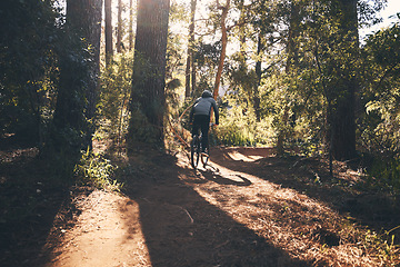 Image showing Fitness, bicycle and man back outdoor on a forest path with extreme and exercise adventure. Bike, cycling and sport of an athlete with fast speed and nature cycle for sports training and race action