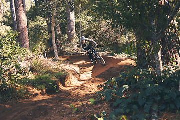 Image showing Trail, mountain bike and man cycling in the forest or woods fast, speed and adrenaline in training. Extreme sports, bicycle and rider biking for exercise, fitness and workout in nature for wellness