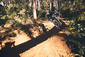 Image showing Fitness, bicycle and man outdoor on a forest path with extreme and exercise adventure. Bike, cycling and sport of an athlete with fast speed and nature cycle for sports training and race action