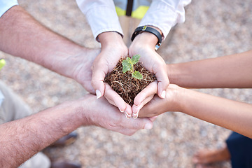 Image showing Group of people, plant and hands outdoor gardening, agriculture and growth in collaboration and above teamwork. Palm sapling, soil and women with man in sustainable farming, agro or earth day project