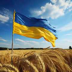 Image showing Flag of Ukraine in wheat field