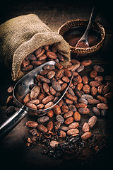 Image showing Cocoa (cacao) beans