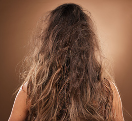 Image showing Back, hair and frizzy with a woman in studio on a brown background for haircare or salon treatment. Repair, damaged and messy with a female at the hairdresser for keratin restoration or remedy