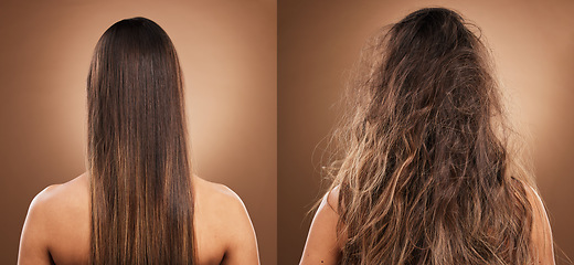 Image showing Hair care, beauty and back of woman in studio with shiny, clean and messy dirty hairstyle. Health, texture and model with knots before keratin, Brazilian or treatment on a brown background