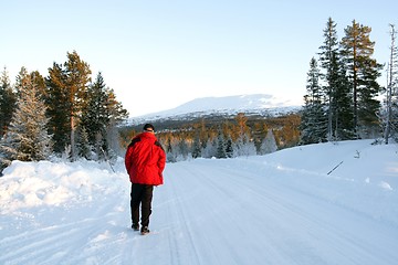 Image showing Walking on a winter road