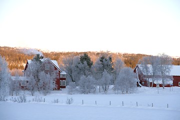 Image showing Winter farm
