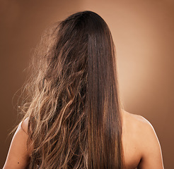 Image showing Frizz, heat damage and hair of a woman isolated on a brown background in a studio. Back, salon treatment and lady showing results from keratin treatment, before and after a hairdresser procedure