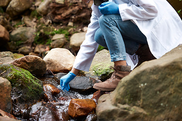 Image showing Science, river and woman with test tube for water for environment inspection, check and sample. Sustainability, agriculture and hands of female scientist in forest for analysis, research and study