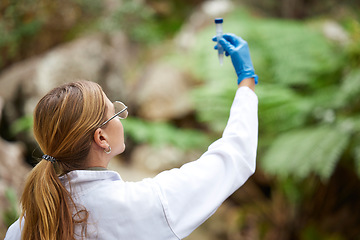Image showing Science, nature and woman with sample for inspection, environmental and ecosystem study. Agriculture, biology and female scientist with test tube in forest for analysis, research and climate change