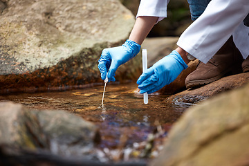 Image showing Science, nature and scientist with water sample for inspection, research and ecosystem study. Agriculture, biology and hands of person with test tube in forest for analysis, growth data and bacteria